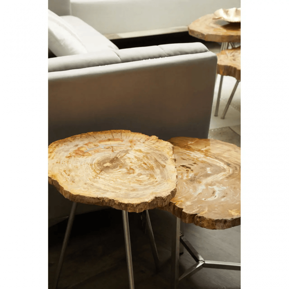 Sterling Small Petrified Wood Side Table