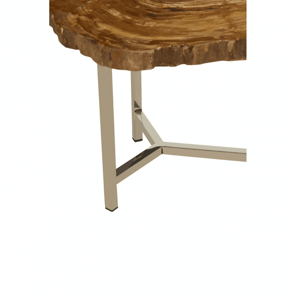 Sterling Small Petrified Wood Side Table