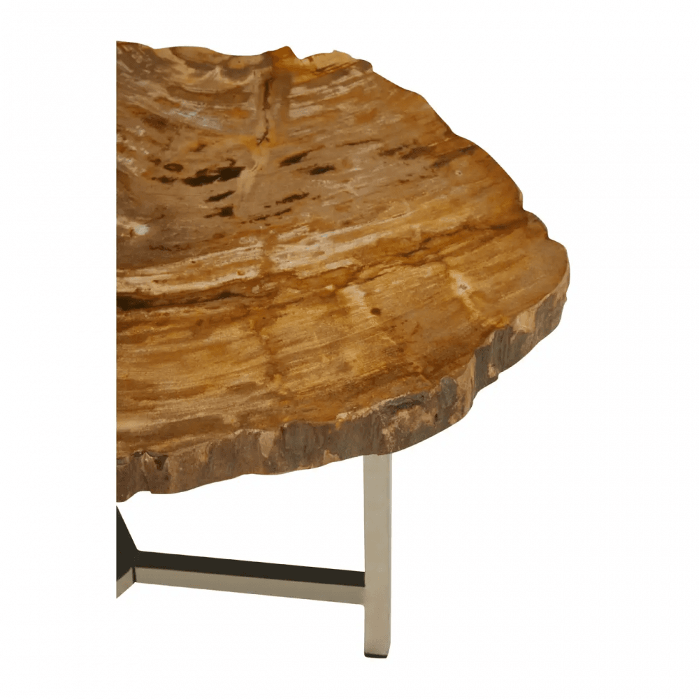Sterling Small Petrified Wood Side Table
