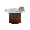 Opal Mango Wood Coffee Table With Marble Top