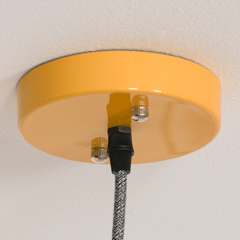 Factory Style  Enamel Painted Pendant Light