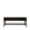 Lindon 2 Drawer Coffee Table Black - KD includes 2 sets of Handle in Nickel and Gold