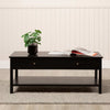 Lindon 2 Drawer Coffee Table Black - KD includes 2 sets of Handle in Nickel and Gold