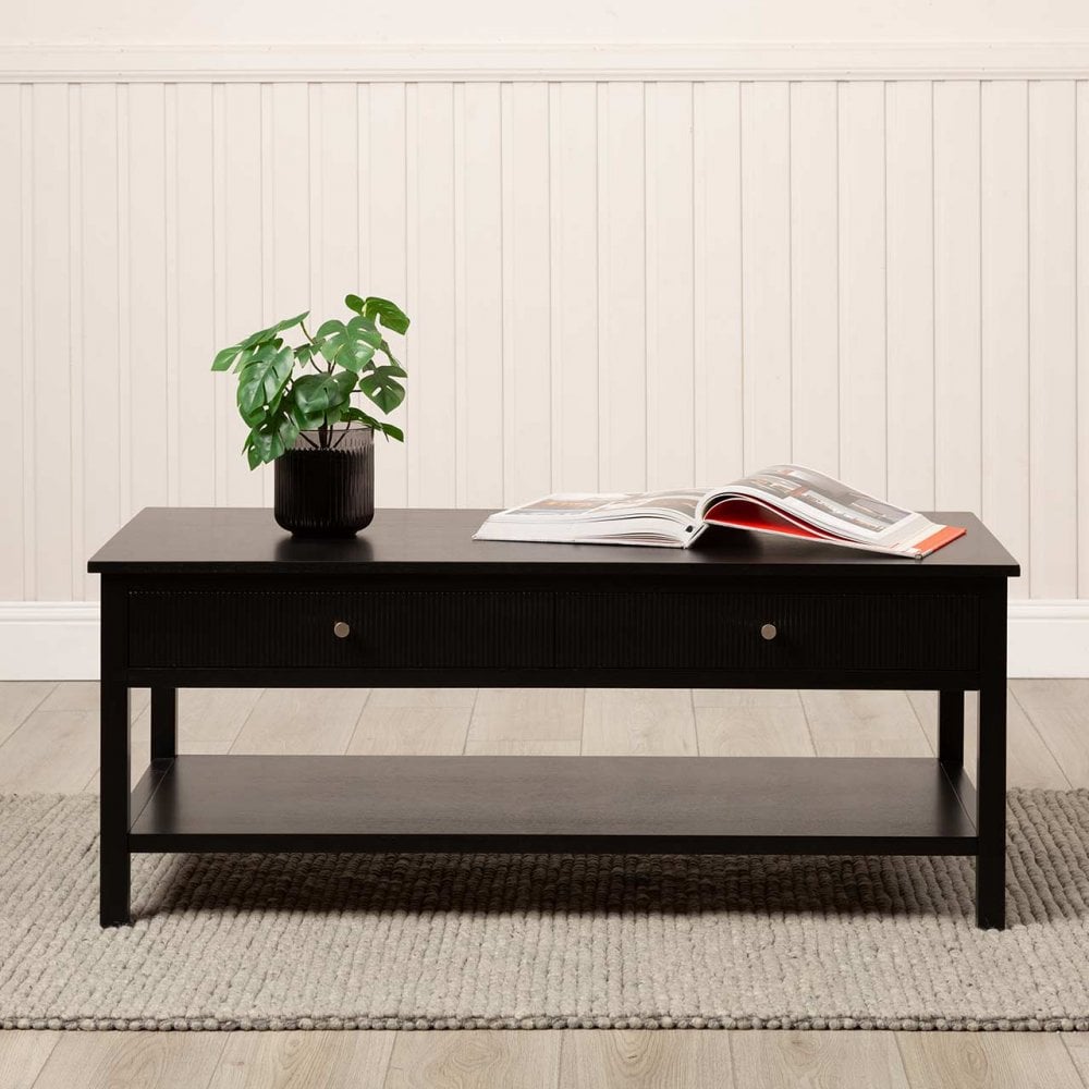 Lindon 2 Drawer Coffee Table Black - KD includes 2 sets of Handle in Nickel and Gold