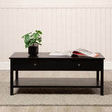 Lindon 2 Drawer Coffee Table Black - KD includes 2 sets of Handle in Nickel and Gold