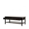 Lindon 2 Drawer Coffee Table Black - KD includes 2 sets of Handle in Nickel and Gold
