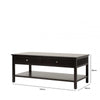 Lindon 2 Drawer Coffee Table Black - KD includes 2 sets of Handle in Nickel and Gold