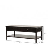 Lindon 2 Drawer Coffee Table Black - KD includes 2 sets of Handle in Nickel and Gold