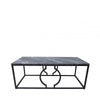 Alora Black Metal Coffee Table - KD 35