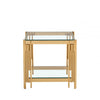 Cohen Gold Steel Tubes &amp; Clear Glass End Table