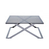Axel Grey Gunmetal Coffee Table with Smoke Glass- 2 Parts