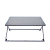 Axel Grey Gunmetal Coffee Table with Smoke Glass- 2 Parts