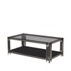 Cohen Black Gunmetal Steel Tubes and Smoke Glass Top Coffee Table - Black Bottom Glass