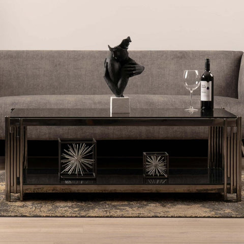 Cohen Black Gunmetal Steel Tubes and Smoke Glass Top Coffee Table - Black Bottom Glass