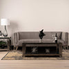 Cohen Black Gunmetal Steel Tubes and Smoke Glass Top Coffee Table - Black Bottom Glass