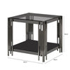 Cohen Black Gunmetal Steel Tubes and Smoke Glass Top End Table - Black Bottom Glass