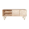 Light Gold Plasma Media Unit