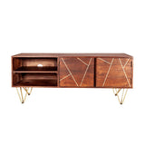 Dark Gold Plasma Media Unit