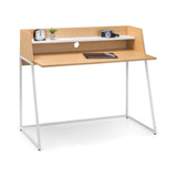Palmer Desk