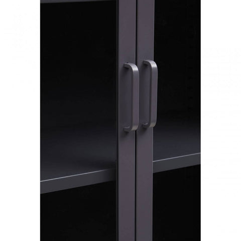 Ciel Two Door Cabinet With Shelf
