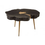 Ravenna Black And Gold Coffee Table