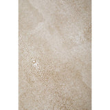 Caden Shagreen Side Table