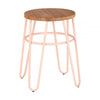 Diston Pink Elm Hairpin Stool