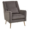 Doucette Grey Velvet Chair with Gold Legs