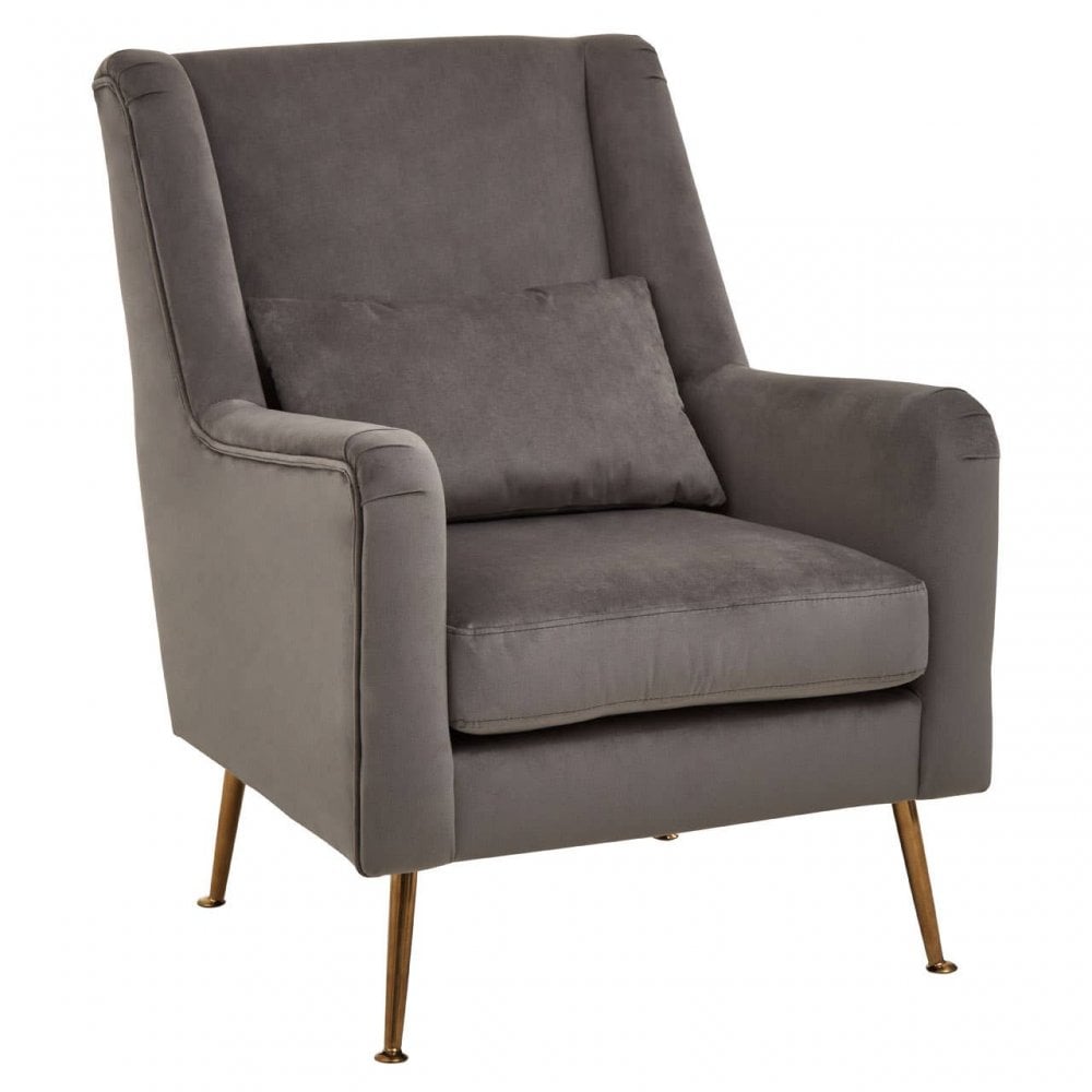 Doucette Grey Velvet Chair with Gold Legs