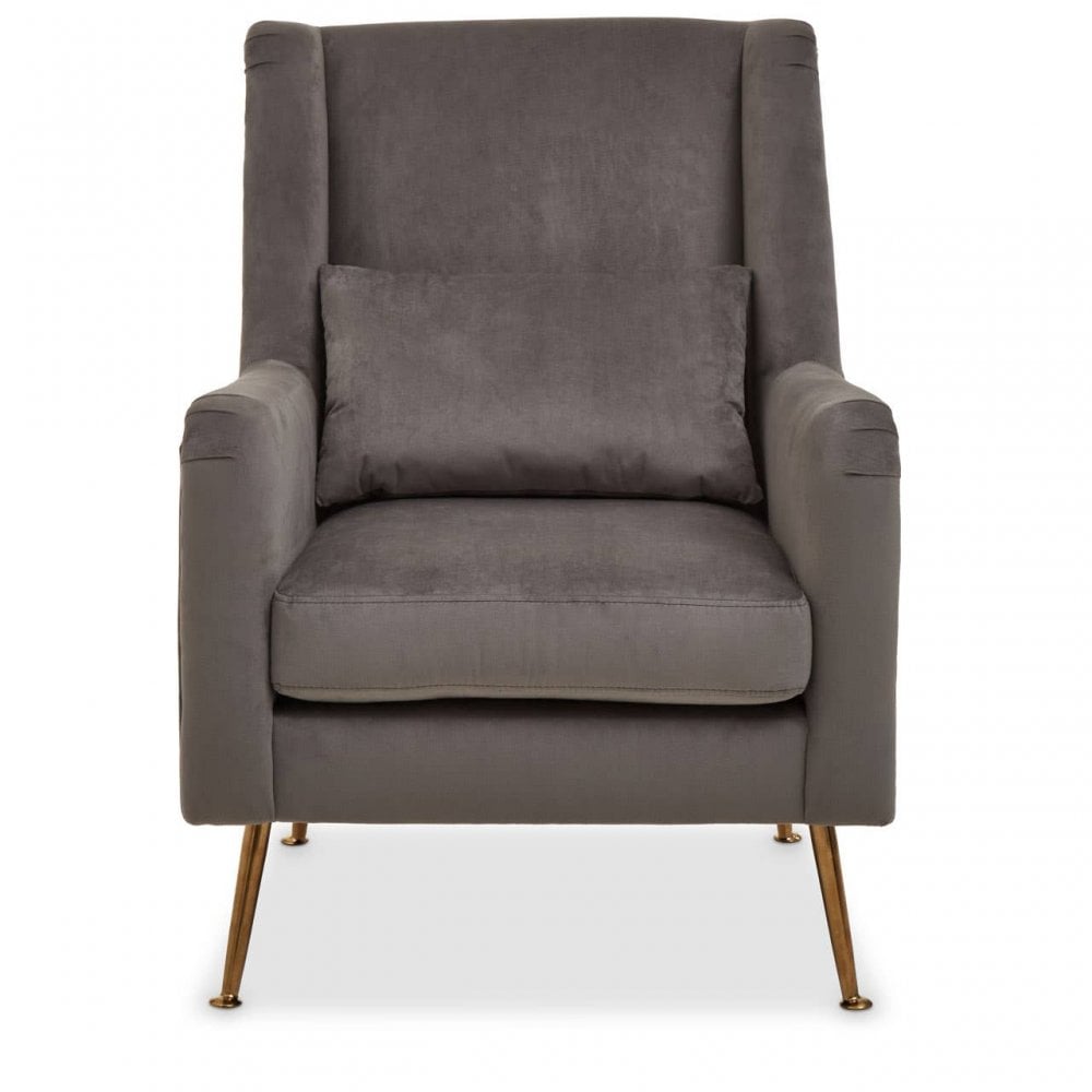 Doucette Grey Velvet Chair with Gold Legs