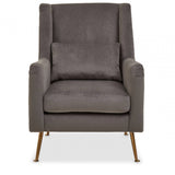 Doucette Grey Velvet Chair with Gold Legs