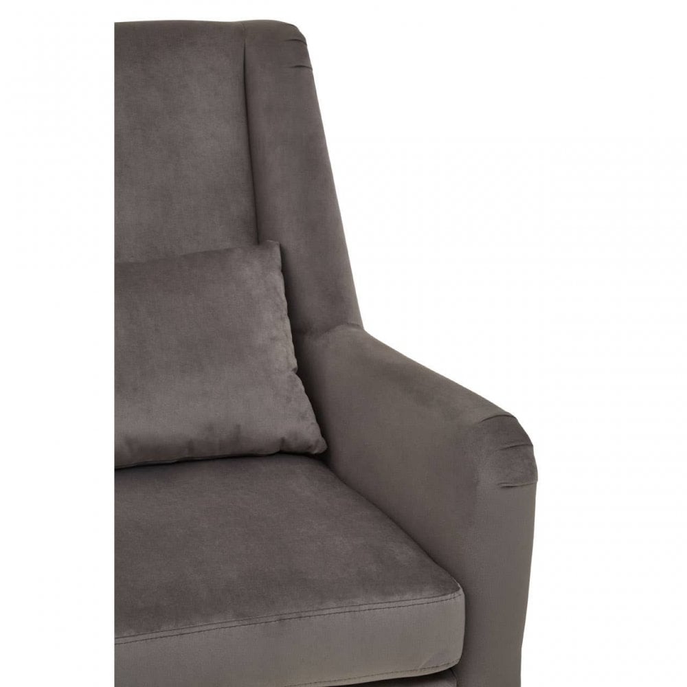 Doucette Grey Velvet Chair with Gold Legs