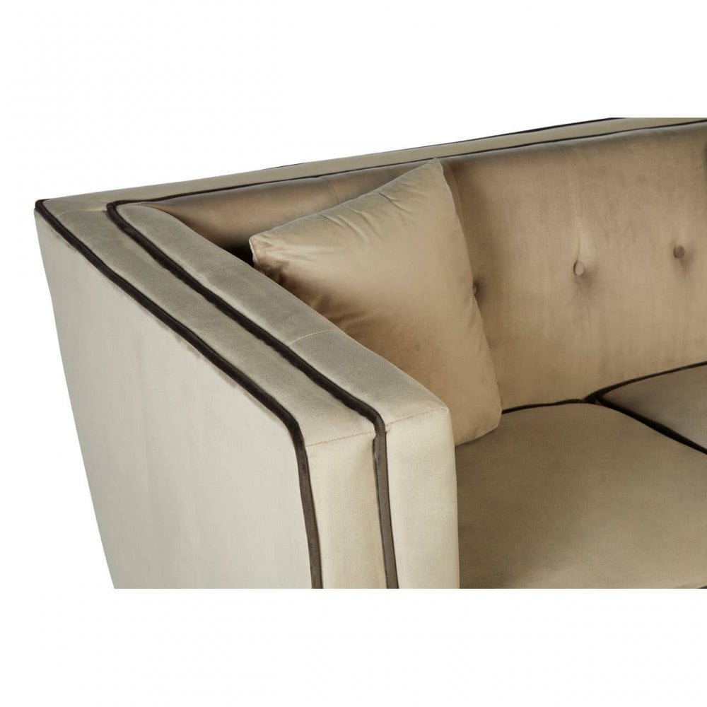 Daxton Mink Velvet 2 Seat Sofa