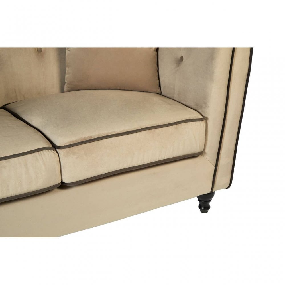 Daxton Mink Velvet 2 Seat Sofa