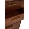Anisa Chest