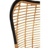 Montrose Natural Rattan Egg Chair