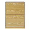 Bridgeman 2 Tier Shoe Cabinet