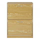 Bridgeman 2 Tier Shoe Cabinet