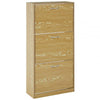 Bridgeman 3 Tier Shoe Cabinet