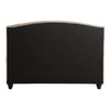 Serena Brushed Velvet Double Bed