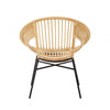 Brixton Natural Rattan And Black Iron Chair