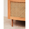 Elmwood 2 Door Natural Rattan And Oak Cabinet
