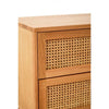Elmwood Rattan and Oak Wood Two Drawer Chest