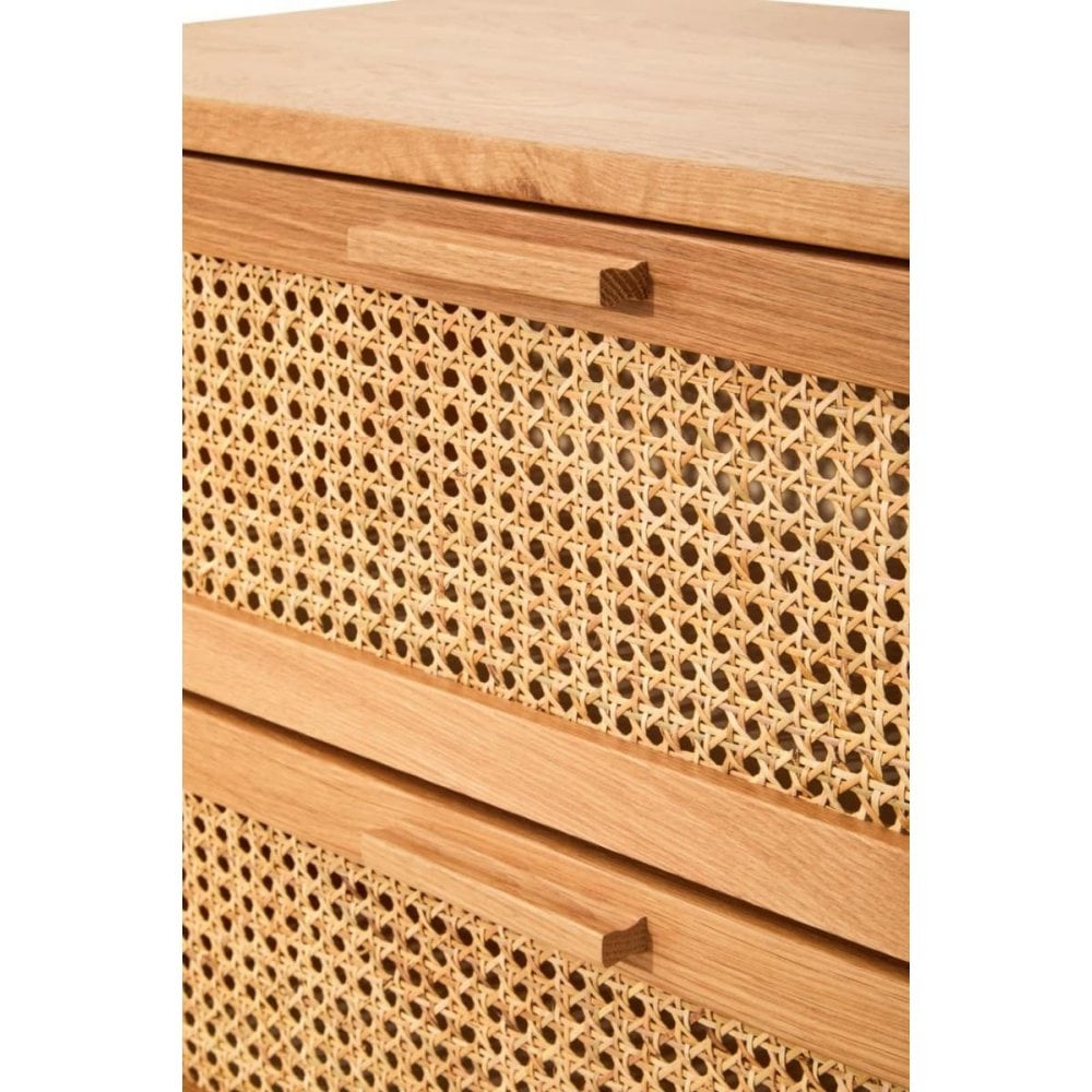 Elmwood Rattan and Oak Wood Two Drawer Chest