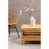 Jaxon Coffee Table