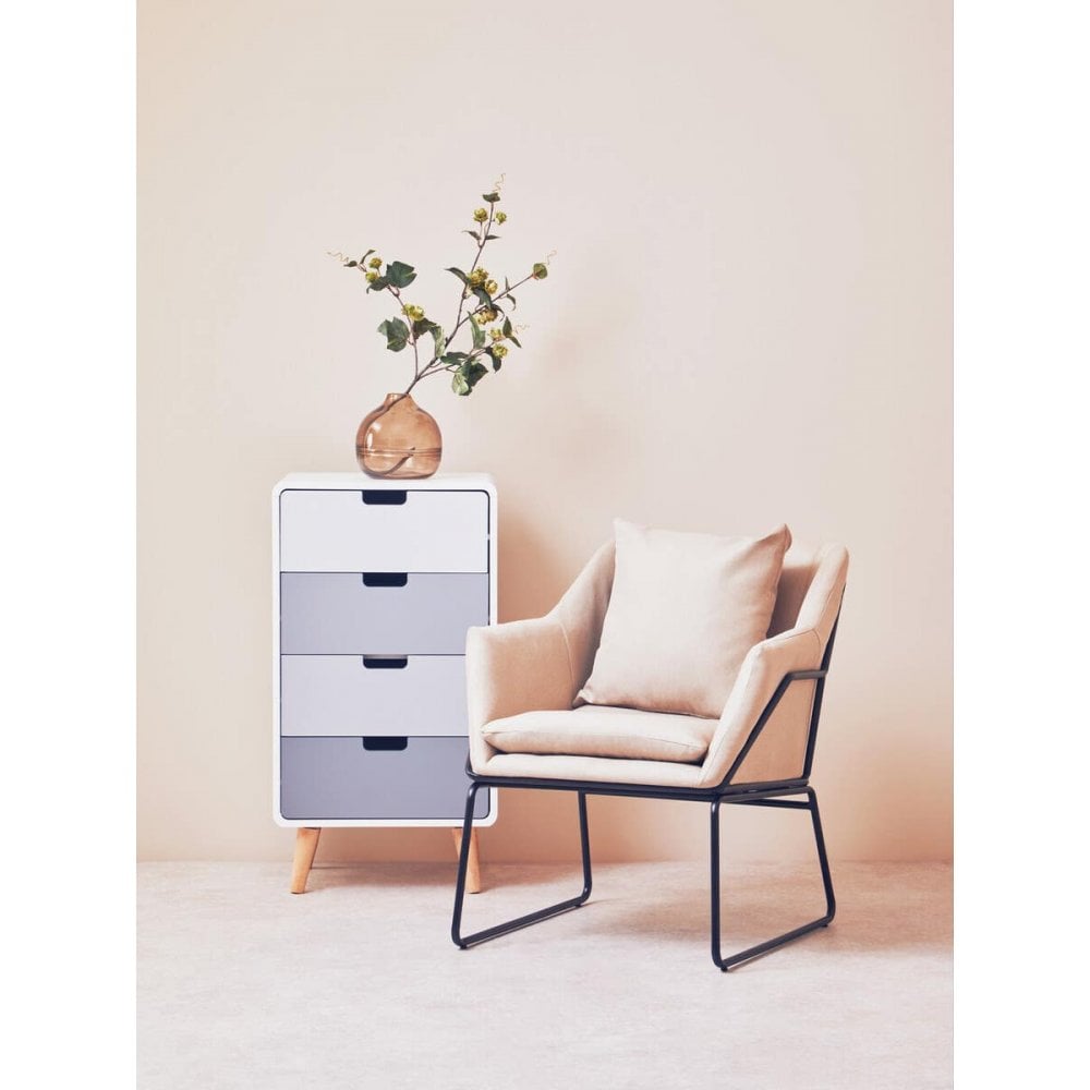 Darrow 4 Drawer Cabinet