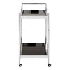 Orion 2 Tier Trolley with Silver Finish Frame