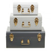 Avalon Set Of Three Assorted Grey Storage Trunks