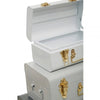 Avalon Set Of Three Assorted Grey Storage Trunks