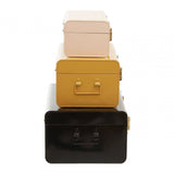 Avalon Set Of Three Assorted Storage Trunks